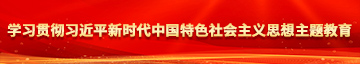 大鸡吧操香逼逼视频学习贯彻习近平新时代中国特色社会主义思想主题教育